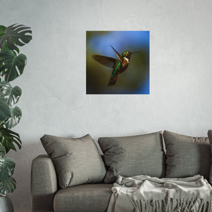 Hummingbird Poster