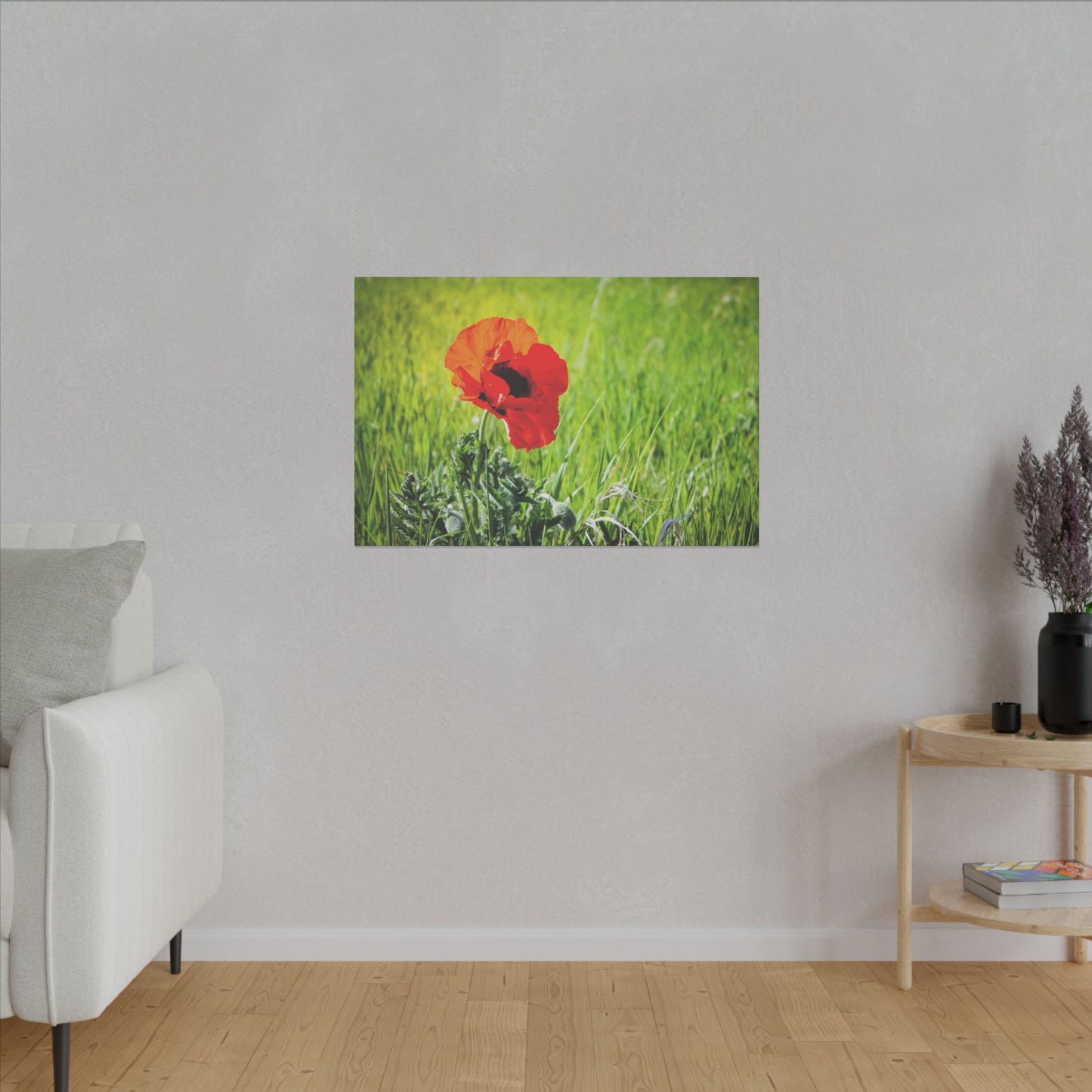 Poppy Canvas