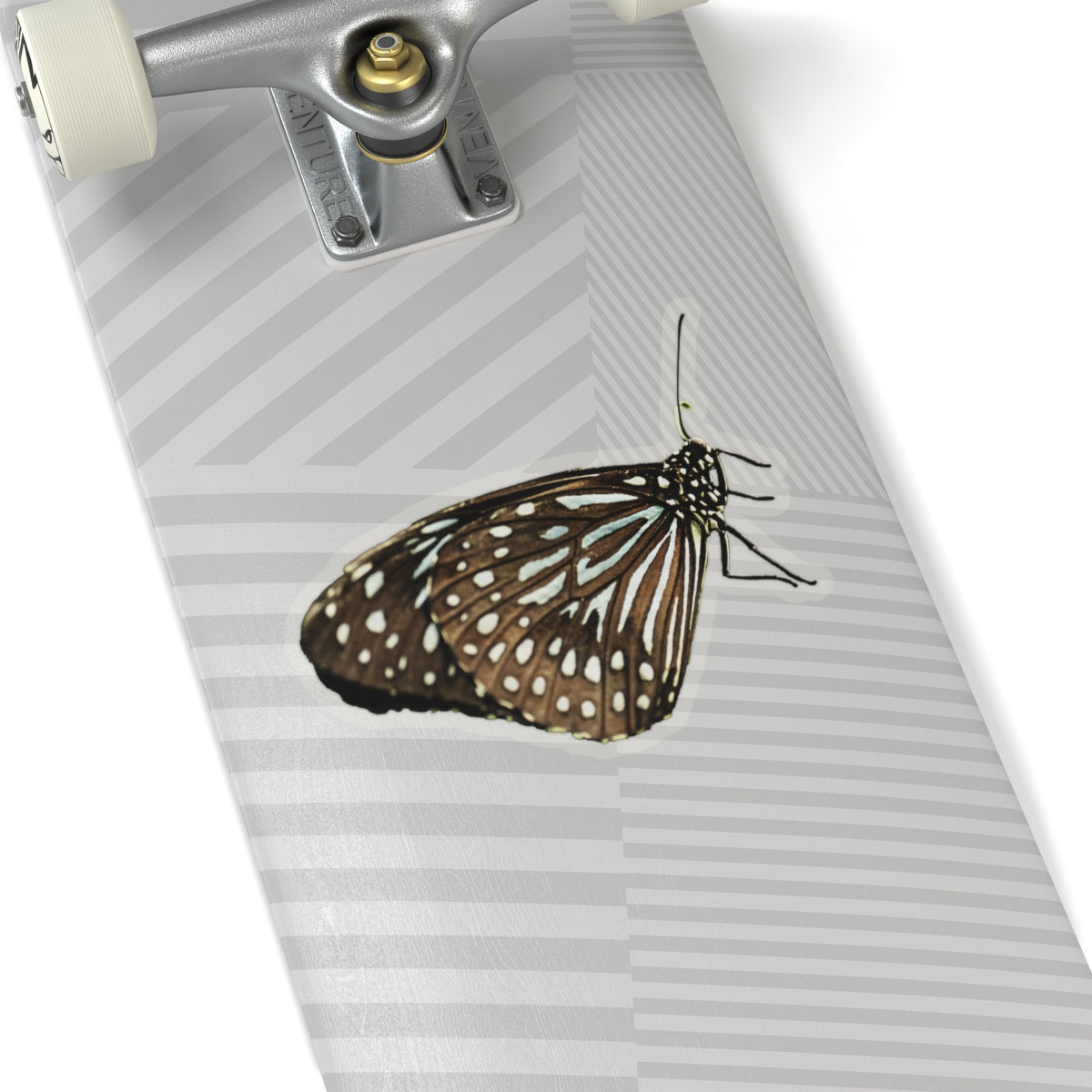 Blue Butterfly Sticker