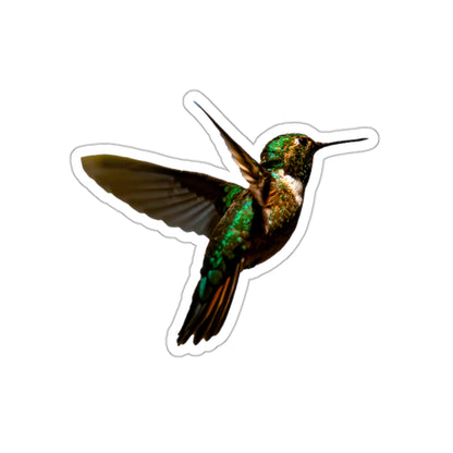 Hummingbird Sticker