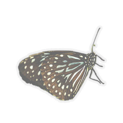 Blue Butterfly Sticker