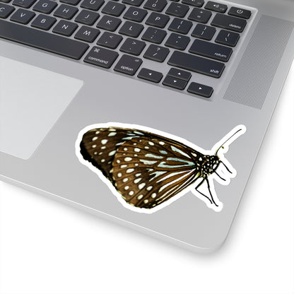 Blue Butterfly Sticker