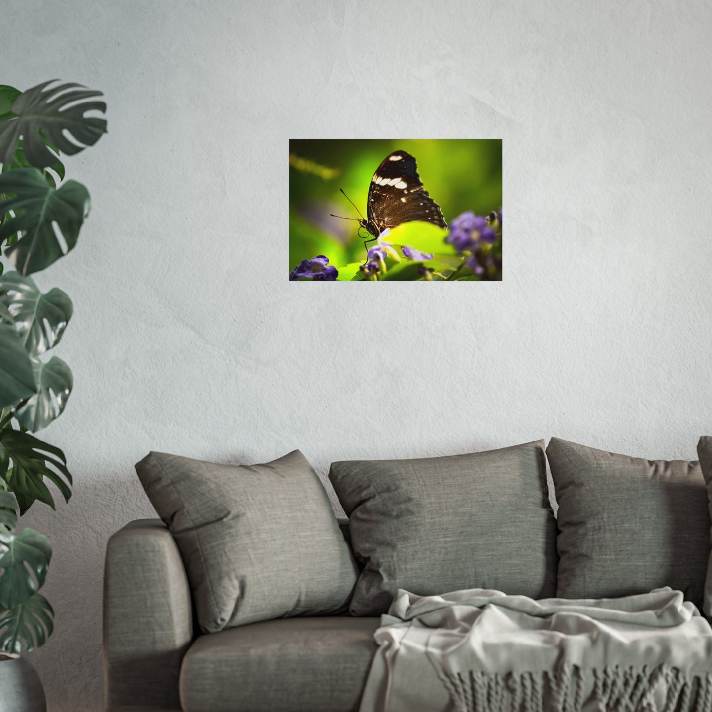 Butterfly with Spiral Tongue Poster