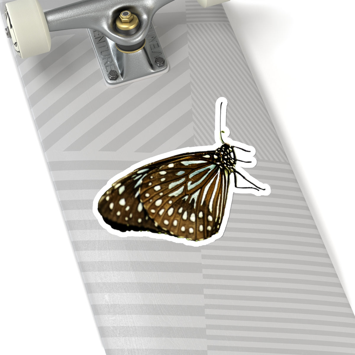 Blue Butterfly Sticker