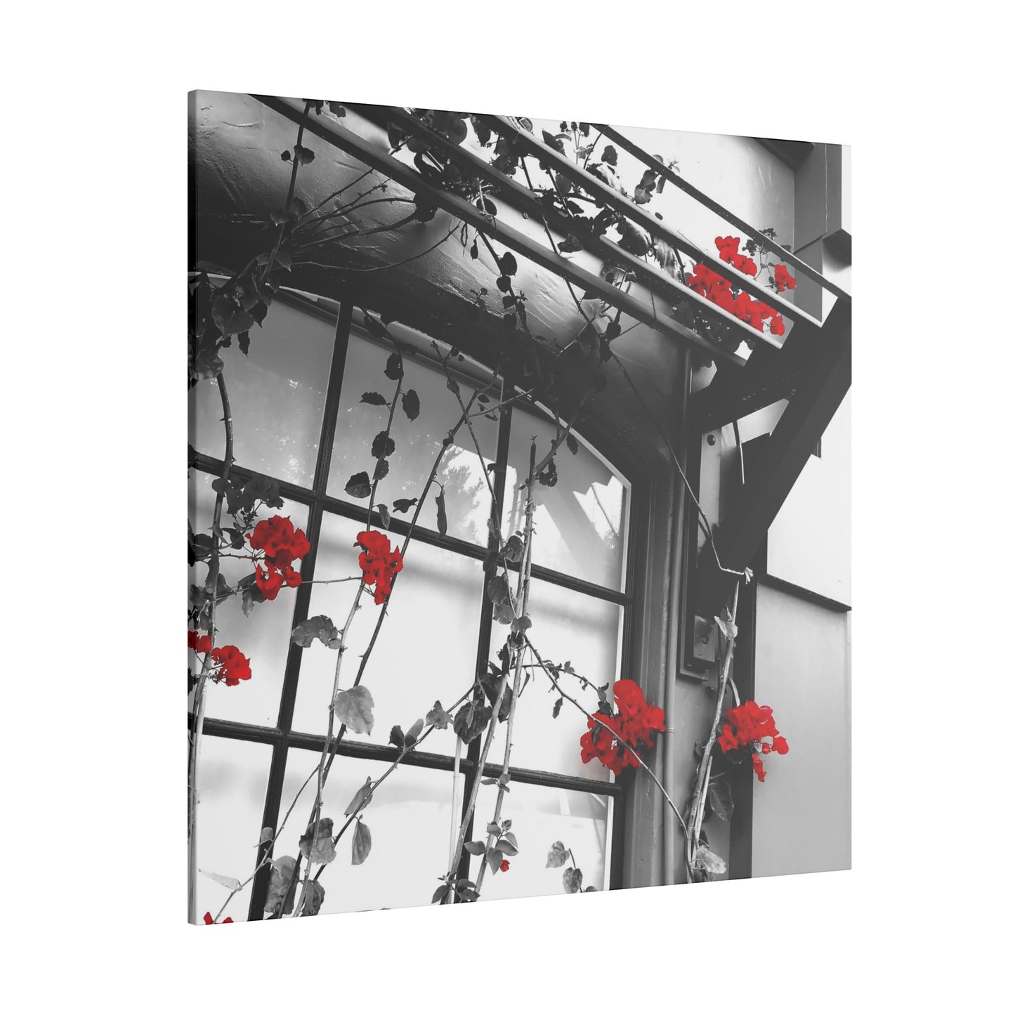 Red Flowers Canvas