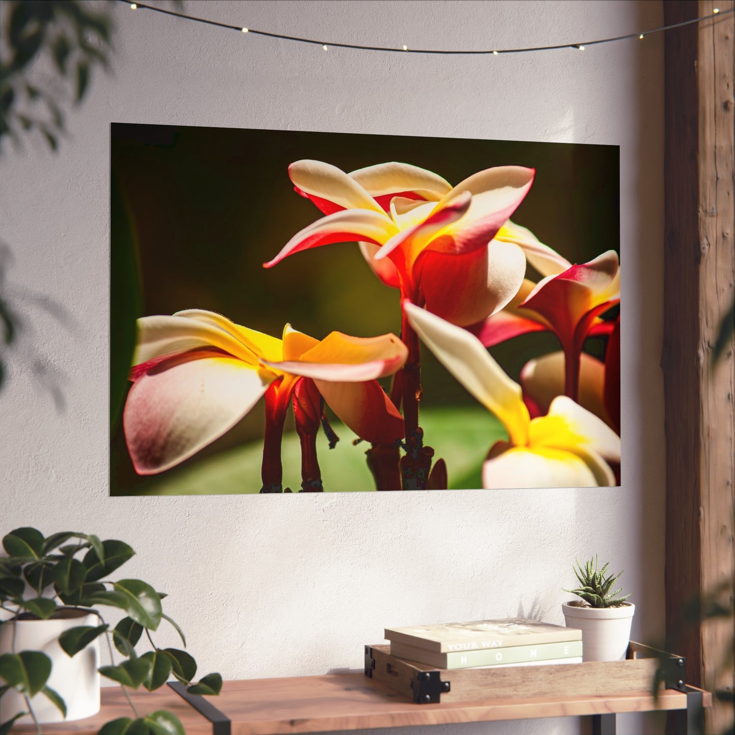 Plumeria Poster