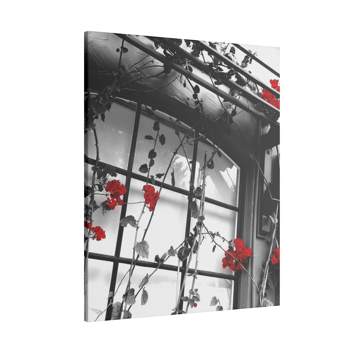 Red Flowers Canvas