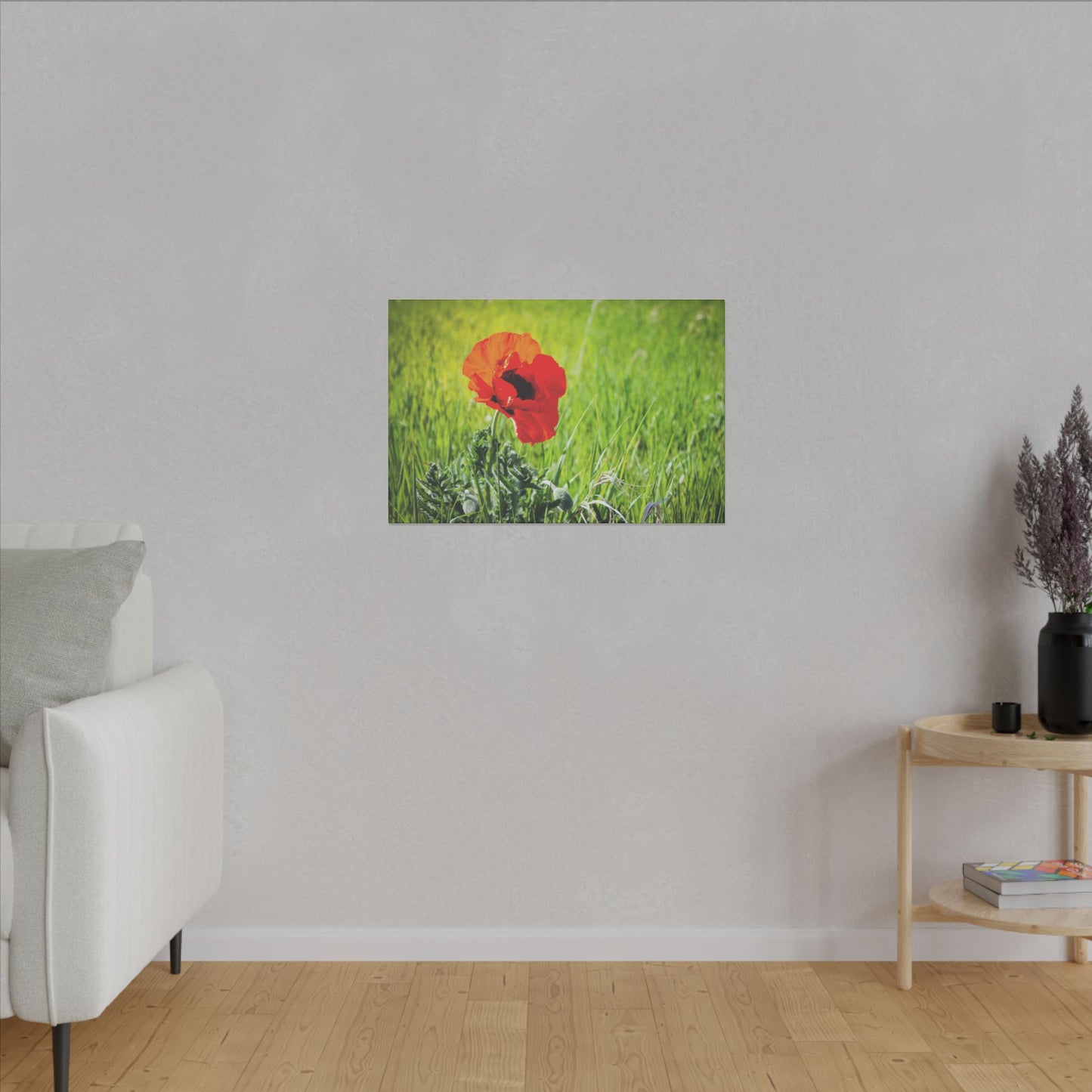 Poppy Canvas