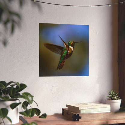 Hummingbird Poster