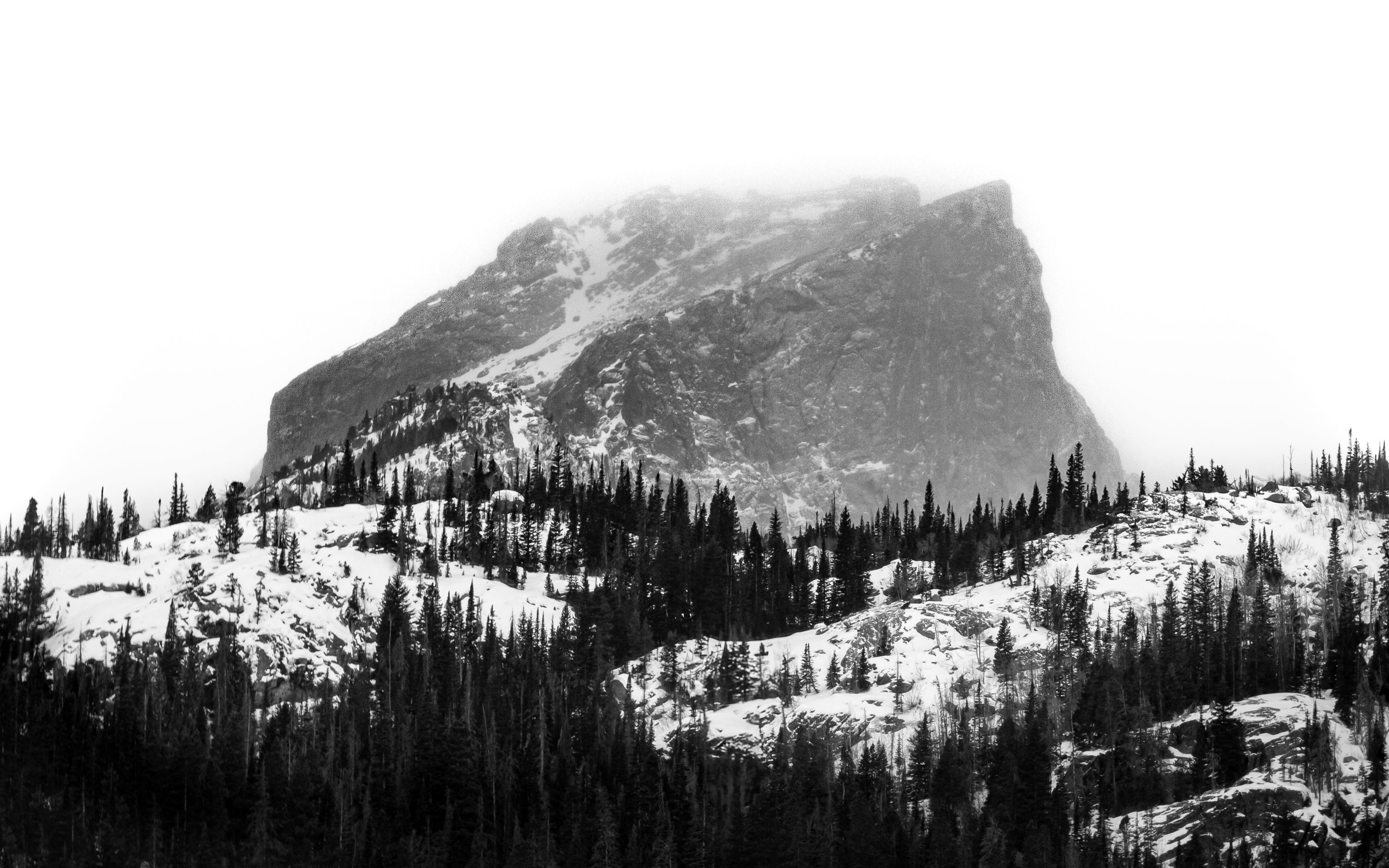 B_W_Snowy_Plateau.jpg