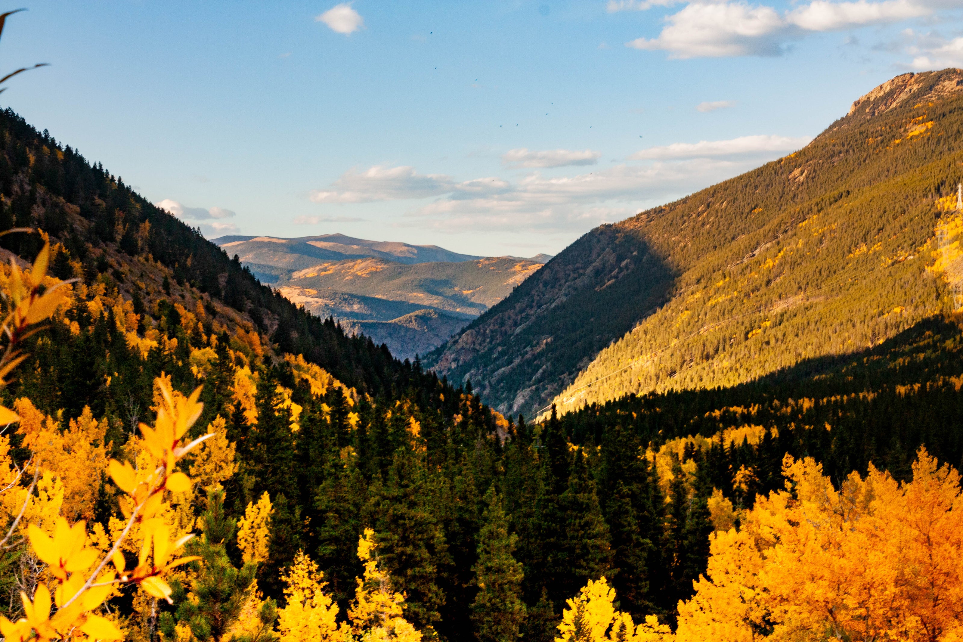 Landscape_-_Fall_Colors_in_Colorado.jpg