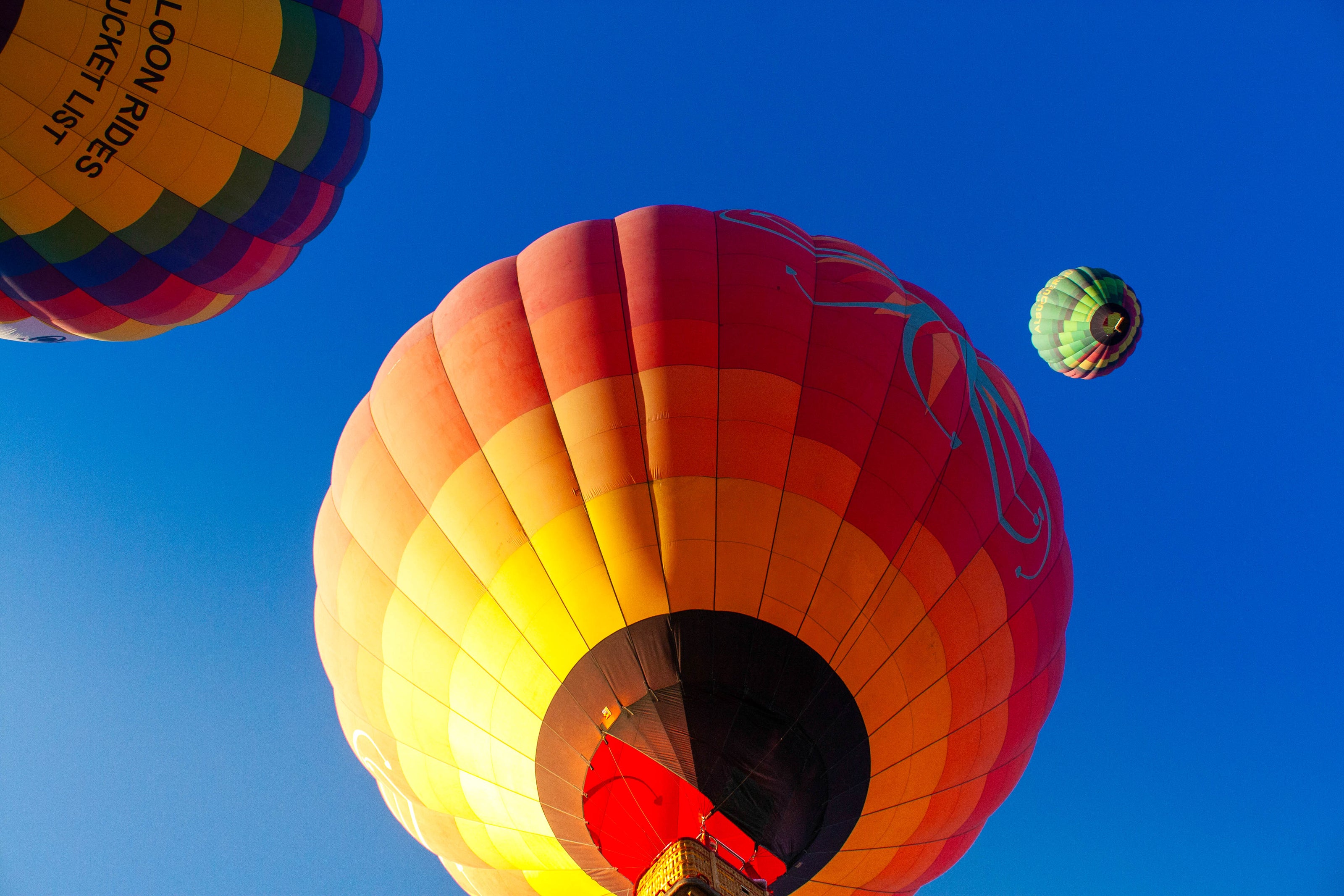 Landscape_-_Hot_Air_Balloons_Above.jpg